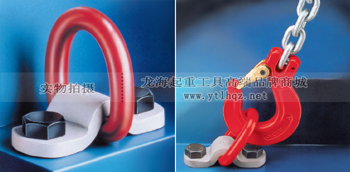 TAPG型德國JDT吊環(huán)應用案例